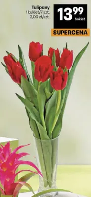 Tulipany promocja w Delikatesy Centrum