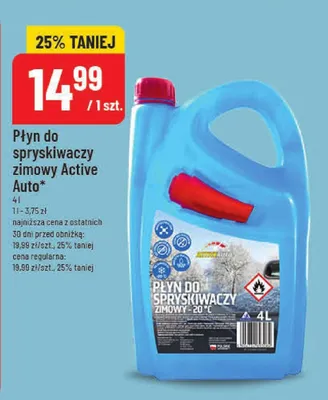 Płyn do spryskiwaczy zimowy Active Auto promocja w POLOmarket