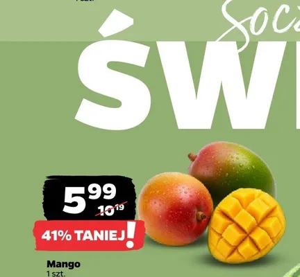 Mango promocja w Netto