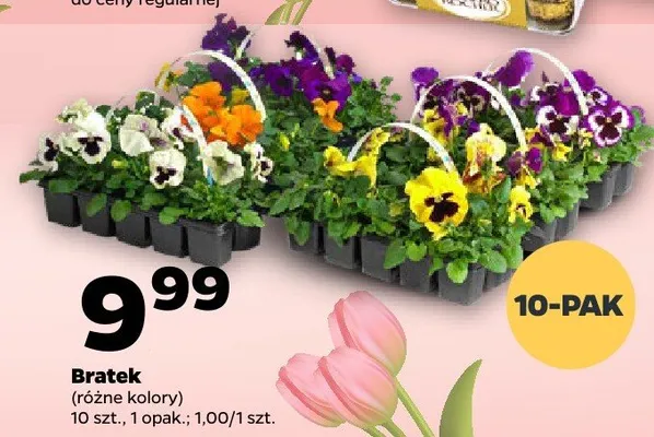 Bratek promocja w Netto