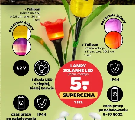 Lampy solarne LED promocja w Netto