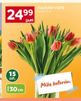 Tulipany cięte 30cm promocja w Stokrotka