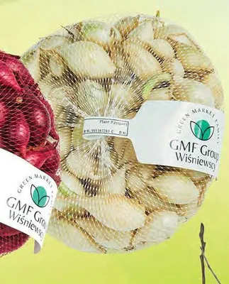 Cebula dymka biała promocja w Dino