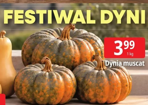 Dynia muscat promocja w Leclerc