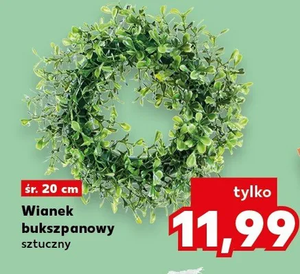 Wianek bukszpanowy sztuczny promocja w Kaufland