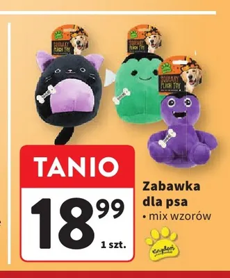Zabawka dla psa promocja w Intermarche