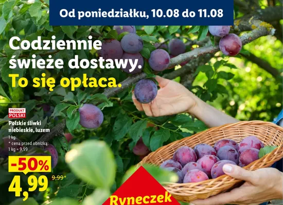 Śliwki niebieskie polskie Ryneczek Lidla promocja w Lidl