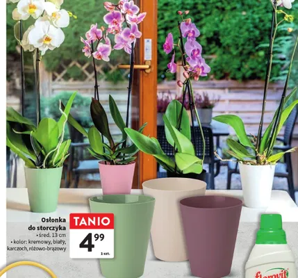 Osłonka do storczyka - śred. 13 cm promocja w Intermarche