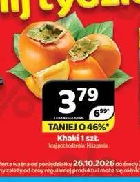 Khaki promocja w Delfin