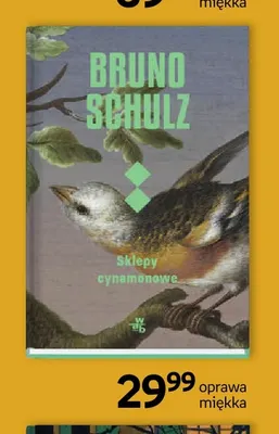 Książka Bruno Schulz Sklepy cynamonowe oprawa miękka promocja w Empik
