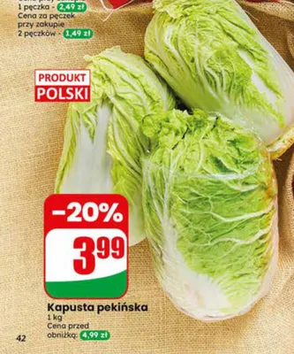Kapusta pekińska polska promocja w Dino