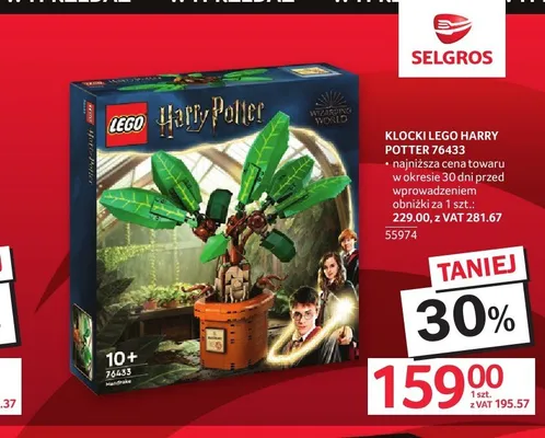 Klocki LEGO Harry Potter 76433 promocja w Selgros
