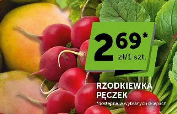 Rzodkiewka pęczek Groszek promocja w Groszek