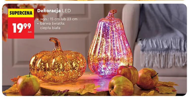 Dekoracja LED promocja w Biedronka