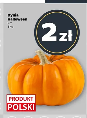 Dynia Halloween promocja w Netto