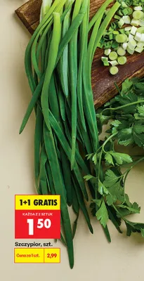 Szczypior promocja w Biedronka