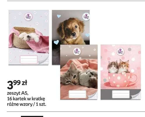 Zeszyt A5 16 kartek w kratkę promocja w Empik