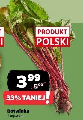 Botwinka polska promocja w Netto