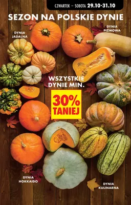 Dynie promocja w Biedronka