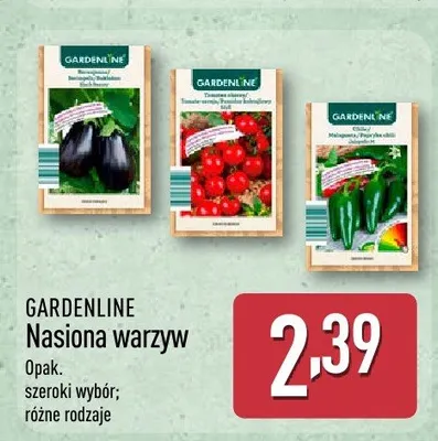 Nasiona warzyw promocja w Aldi