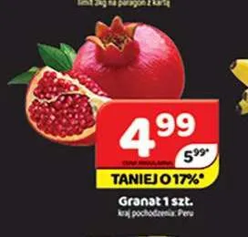 Granat promocja w Delfin