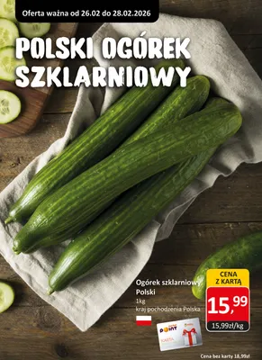 Ogórek szklarniowy polski promocja w Market Point
