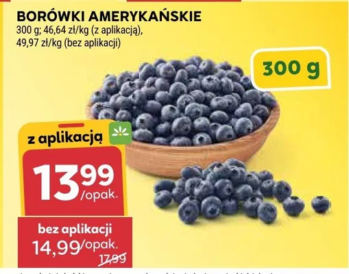 Borówki amerykańskie promocja w Stokrotka