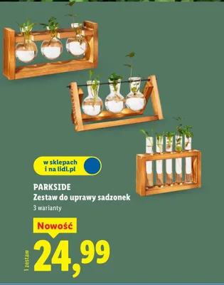 Zestaw do uprawy sadzonek promocja w Lidl