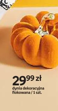 Dynia dekoracyjna flokowana pomarańczowa Hello Autumn promocja w Empik