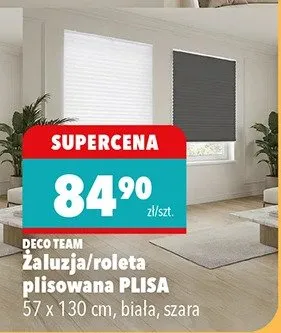 Żaluzje/roleta plisowana PLISA 57 x 130cm, biała, szara promocja w Biedronka
