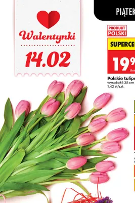 Polskie tulipany 14 szt. promocja w Biedronka