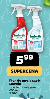 Płyn do mycia szyb Ludwik anty para promocja w Netto