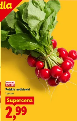 Rzodkiewki polskie promocja w Lidl