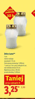 Znicz Luna promocja w Lidl