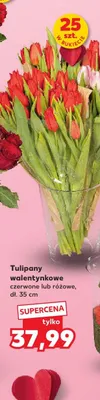 Tulipany walentynkowe czerwone, dł. 35 cm promocja w Kaufland