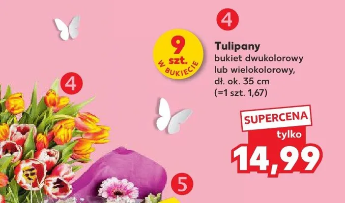 Tulipany bukiet dwu- lub wielokolorowy promocja w Kaufland