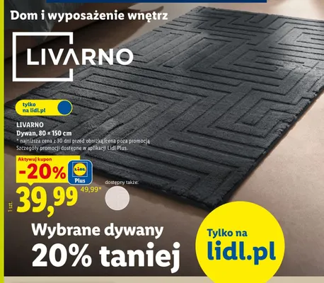 Dywan 80x150 cm Livarno promocja w Lidl