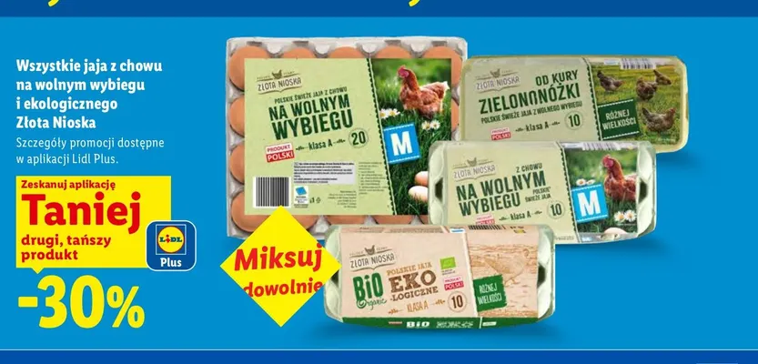 Jajka kurze ekologiczne Bio Eko Złota Nioska 10 szt. promocja w Lidl