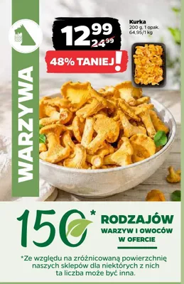 Kurka promocja w Netto