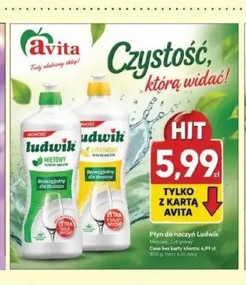 Płyn do naczyń Ludwik promocja w Avita