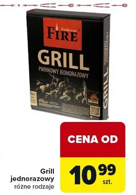 Grill piknikowy jednorazowy promocja w Carrefour Market