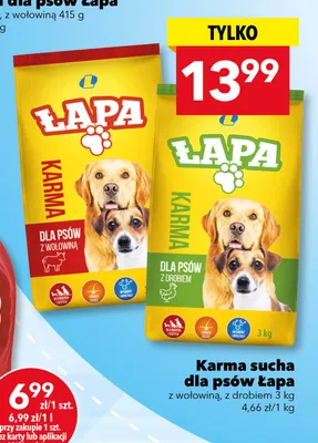 Karma sucha dla psów Łapa z wołowiną promocja w LEWIATAN