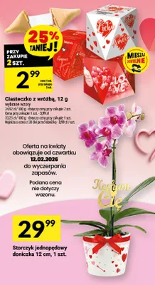 Ciasteczko z wrożbą promocja w Twój Market