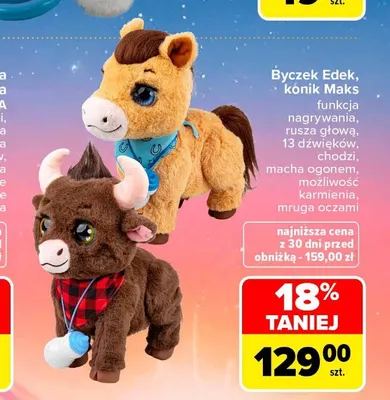 Byczek Edek promocja w Carrefour