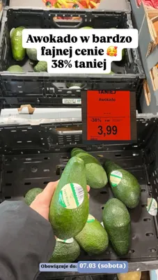 Awokado promocja w Aldi