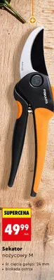 Sekator nożycowy M promocja w Biedronka