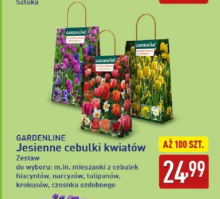Jesienne cebulki kwiatów Gardenline zestaw promocja w Aldi