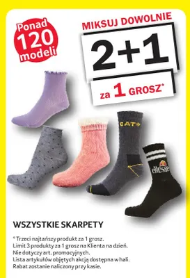 Skarpety promocja w Selgros