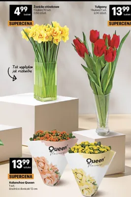 Tulipany promocja w Delikatesy Centrum