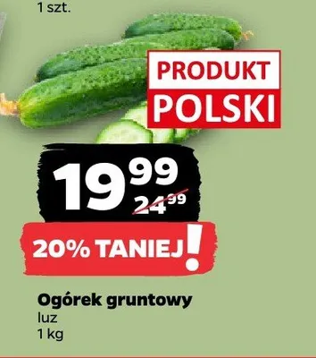 Ogórek gruntowy luz Netto promocja w Netto